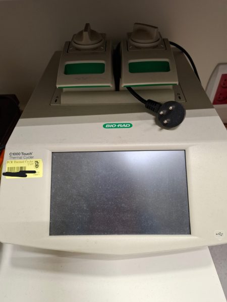 PCR